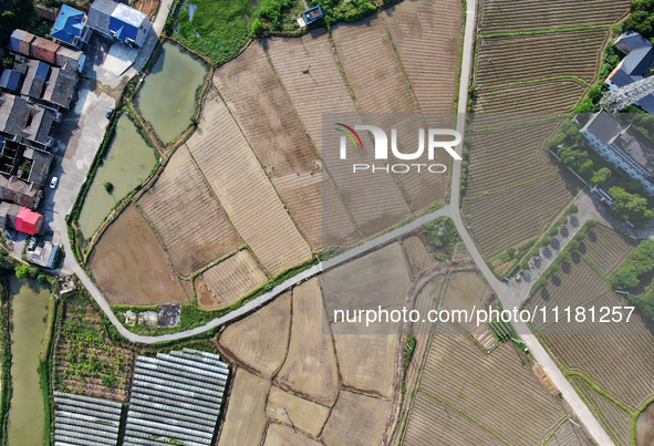 Farmers are tilling and ridging their taro fields in Xianghua Village, Tangdong Street, Zixing City, Hunan Province, Central China, on April...