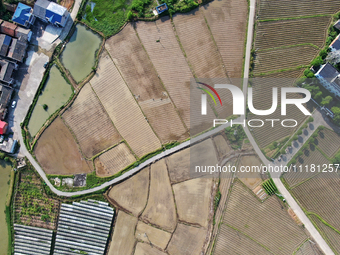 Farmers are tilling and ridging their taro fields in Xianghua Village, Tangdong Street, Zixing City, Hunan Province, Central China, on April...