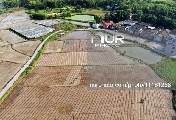 Farmers are tilling and ridging their taro fields in Xianghua village, Tangdong Street, Zixing City, China, on April 26, 2024. 