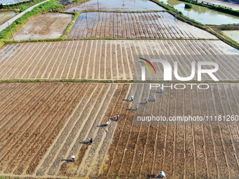 Farmers are tilling and ridging their taro fields in Xianghua Village, Tangdong Street, Zixing City, Hunan Province, Central China, on April...