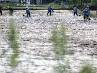 Farmers are tilling and ridging their taro fields in Xianghua village, Tangdong Street, Zixing City, Hunan Province, Central China, on April...