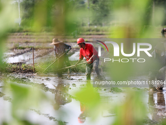 Farmers are tilling and ridging their taro fields in Xianghua Village, Tangdong Street, Zixing City, Hunan Province, Central China, on April...