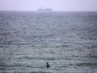 The ROY P. BENAVIDEZ (IMO: 9218210), a Logistics Naval Vessel flying the flag of the USA, is currently anchored off the coast of the Wadi Ga...