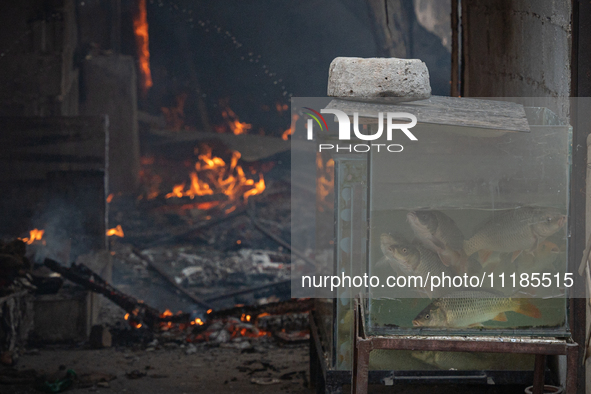 A fire is ravaging a vehicle workshop and adjacent shops in Sankhamul, Kathmandu, causing extensive damage on a Sunday afternoon. 