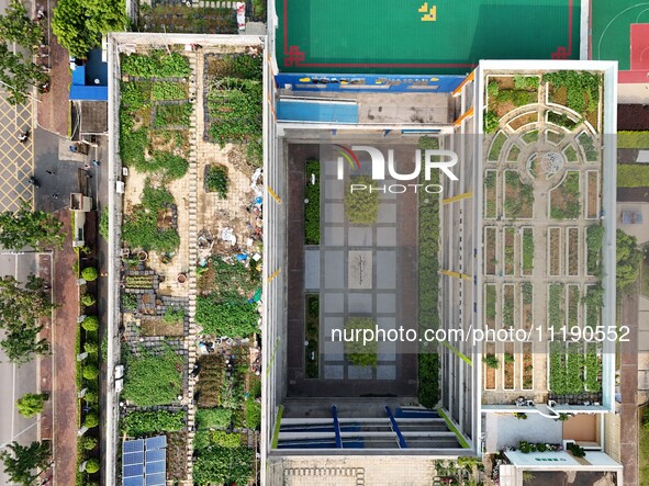 In Nanning, China, on April 28, 2024, the ''sky vegetable garden + garden'' on the roof of a primary school is providing teachers and studen...