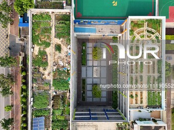 In Nanning, China, on April 28, 2024, the ''sky vegetable garden + garden'' on the roof of a primary school is providing teachers and studen...