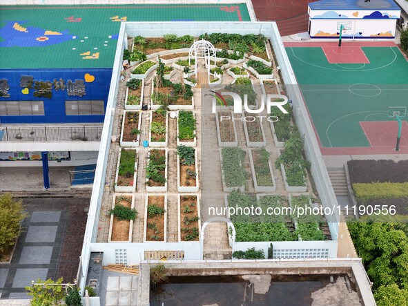 In Nanning, China, on April 28, 2024, the ''sky vegetable garden + garden'' on the roof of a primary school is providing teachers and studen...