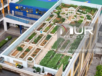 Students and teachers are experiencing farming in the ''sky vegetable garden + garden'' on the roof of a primary school in Nanning, Guangxi...