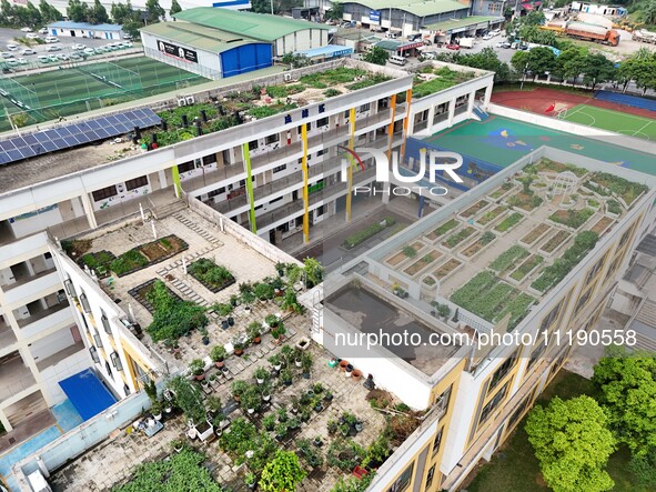 Students and teachers are experiencing farming in the ''sky vegetable garden + garden'' on the roof of a primary school in Nanning, Guangxi...