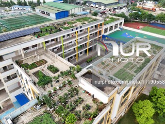 Students and teachers are experiencing farming in the ''sky vegetable garden + garden'' on the roof of a primary school in Nanning, Guangxi...