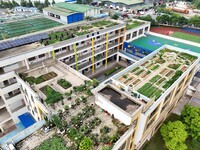 Students and teachers are experiencing farming in the ''sky vegetable garden + garden'' on the roof of a primary school in Nanning, Guangxi...