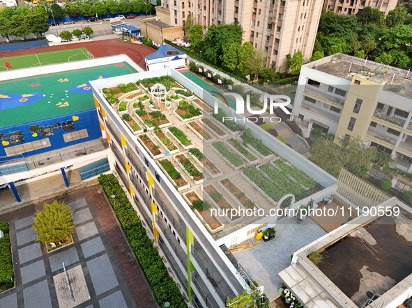 In Nanning, China, on April 28, 2024, the ''sky vegetable garden + garden'' on the roof of a primary school is providing teachers and studen...