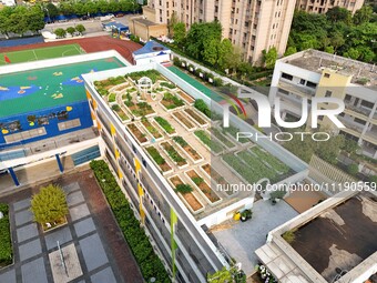 In Nanning, China, on April 28, 2024, the ''sky vegetable garden + garden'' on the roof of a primary school is providing teachers and studen...