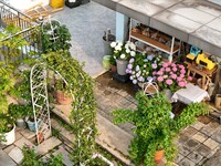 In Nanning, China, on April 28, 2024, the ''sky vegetable garden + garden'' on the roof of a primary school is providing teachers and studen...