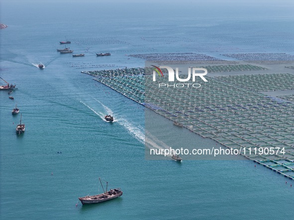 Fishing boats are returning to a fishing port to prepare for a fishing ban in Yantai, Shandong Province, China, on April 29, 2024. Starting...