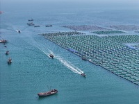 Fishing boats are returning to a fishing port to prepare for a fishing ban in Yantai, Shandong Province, China, on April 29, 2024. Starting...