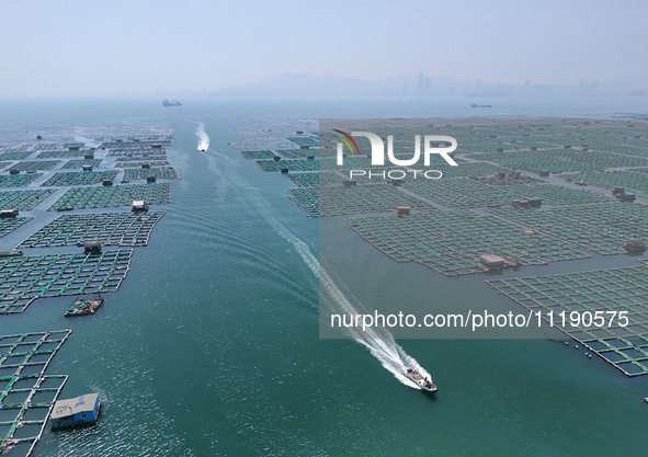 Fishing boats are returning to a fishing port to prepare for a fishing ban in Yantai, Shandong Province, China, on April 29, 2024. The Bohai...