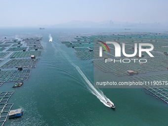 Fishing boats are returning to a fishing port to prepare for a fishing ban in Yantai, Shandong Province, China, on April 29, 2024. The Bohai...