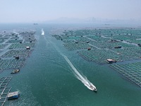 Fishing boats are returning to a fishing port to prepare for a fishing ban in Yantai, Shandong Province, China, on April 29, 2024. The Bohai...