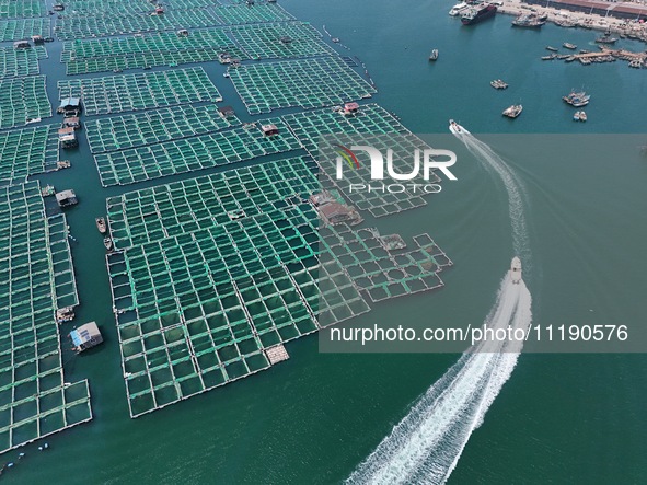 Fishing boats are returning to a fishing port to prepare for a fishing ban in Yantai, Shandong Province, China, on April 29, 2024. From 12 o...