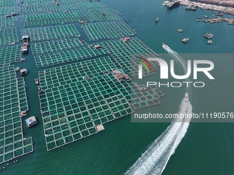 Fishing boats are returning to a fishing port to prepare for a fishing ban in Yantai, Shandong Province, China, on April 29, 2024. From 12 o...