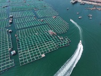 Fishing boats are returning to a fishing port to prepare for a fishing ban in Yantai, Shandong Province, China, on April 29, 2024. From 12 o...