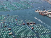 Fishing boats are returning to a fishing port to prepare for a fishing ban in Yantai, Shandong Province, China, on April 29, 2024. From 12 o...