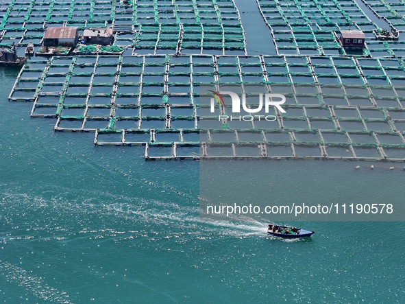 Fishing boats are returning to a fishing port to prepare for a fishing ban in Yantai, Shandong Province, China, on April 29, 2024. From 12 o...