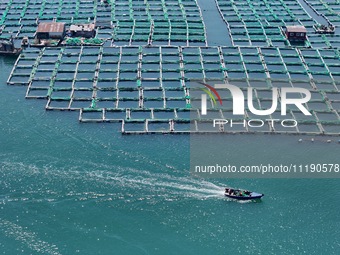 Fishing boats are returning to a fishing port to prepare for a fishing ban in Yantai, Shandong Province, China, on April 29, 2024. From 12 o...