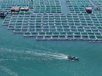 Fishing boats are returning to a fishing port to prepare for a fishing ban in Yantai, Shandong Province, China, on April 29, 2024. From 12 o...