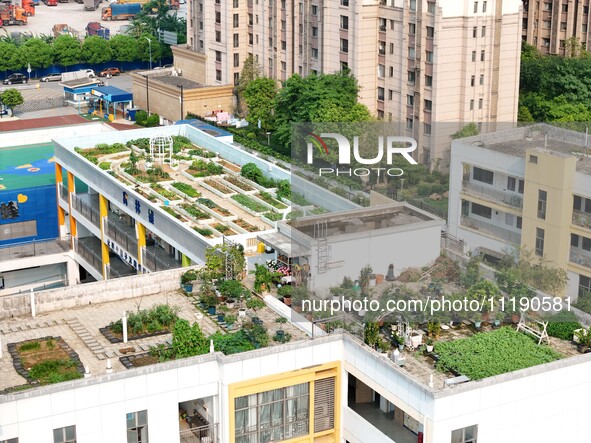 In Nanning, China, on April 28, 2024, teachers and students are experiencing farming in the ''sky vegetable garden + garden'' located on the...