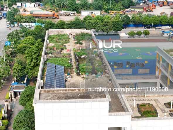 In Nanning, China, on April 28, 2024, the ''sky vegetable garden + garden'' on the roof of a primary school is providing teachers and studen...