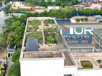 In Nanning, China, on April 28, 2024, the ''sky vegetable garden + garden'' on the roof of a primary school is providing teachers and studen...