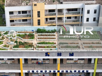 Students and teachers are experiencing farming in the ''sky vegetable garden + garden'' on the roof of a primary school in Nanning, Guangxi...