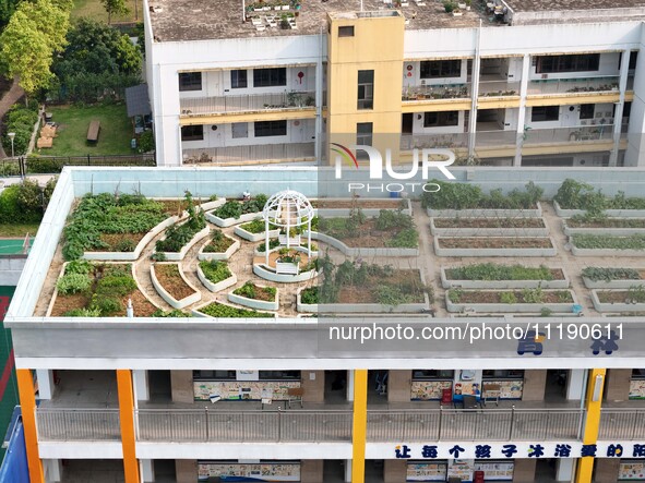 In Nanning, China, on April 28, 2024, the ''sky vegetable garden + garden'' on the roof of a primary school is providing teachers and studen...