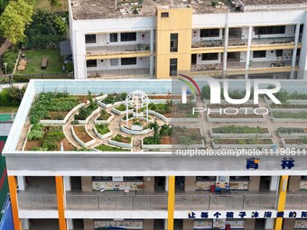 In Nanning, China, on April 28, 2024, the ''sky vegetable garden + garden'' on the roof of a primary school is providing teachers and studen...