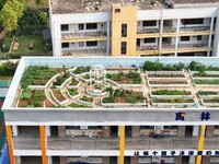 In Nanning, China, on April 28, 2024, the ''sky vegetable garden + garden'' on the roof of a primary school is providing teachers and studen...