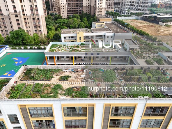 In Nanning, China, on April 28, 2024, a primary school is featuring a ''sky vegetable garden + garden'' on its rooftop for teachers and stud...