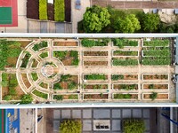 Students are experiencing farming in the ''sky vegetable garden + garden'' on the roof of a primary school in Nanning, Guangxi province, Chi...