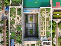 In Nanning, China, on April 28, 2024, a primary school is featuring a ''sky vegetable garden + garden'' on its rooftop for teachers and stud...