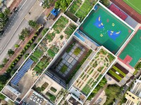 In Nanning, China, on April 28, 2024, teachers and students are experiencing farming in the ''sky vegetable garden + garden'' located on the...