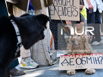 Dogs are seen with placards during the FreeAzov action in support of the military being held in Russian captivity, in Lviv, Ukraine, on Apri...