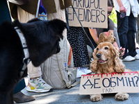 Dogs are seen with placards during the FreeAzov action in support of the military being held in Russian captivity, in Lviv, Ukraine, on Apri...