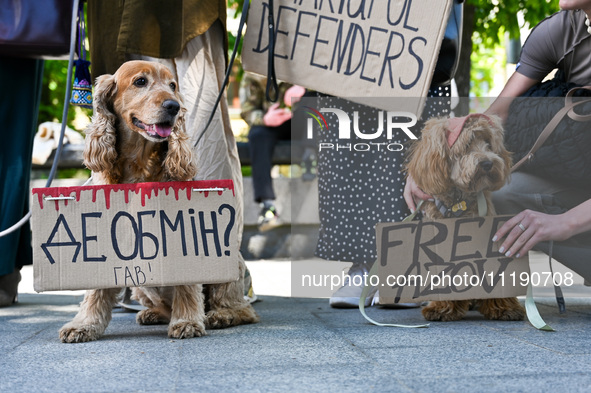 Dogs are holding placards during the FreeAzov action in support of the military currently held in Russian captivity, at the square by the Ta...