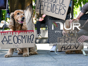 Dogs are holding placards during the FreeAzov action in support of the military currently held in Russian captivity, at the square by the Ta...