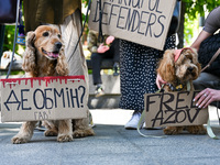 Dogs are holding placards during the FreeAzov action in support of the military currently held in Russian captivity, at the square by the Ta...