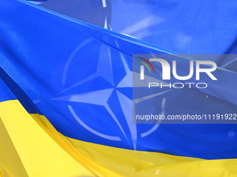 Flags of Ukraine and NATO are seen before a press conference of NATO Secretary General Jens Stoltenberg and President of Ukraine Volodymyr Z...