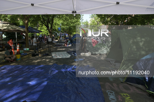 George Washington Student Encampment still stand up about All Out For Gaza in support to Palestinian people, today on April 29, 2024 at U Ya...