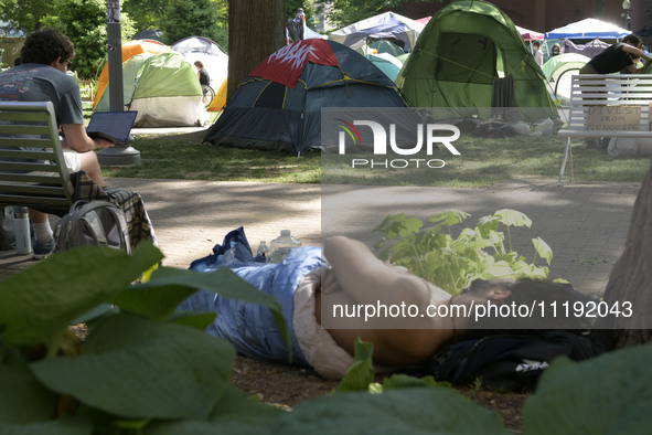 George Washington Student Encampment still stand up about All Out For Gaza in support to Palestinian people, today on April 29, 2024 at U Ya...