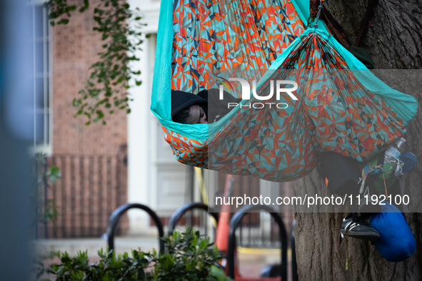 A demonstrator sleeps in a hammock at the Gaza solidarity camp at George Washington University, Washington, DC, April 29, 2024.  GWU student...